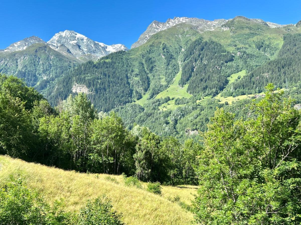 Chalet Altus Sainte-Foy-Tarentaise Εξωτερικό φωτογραφία