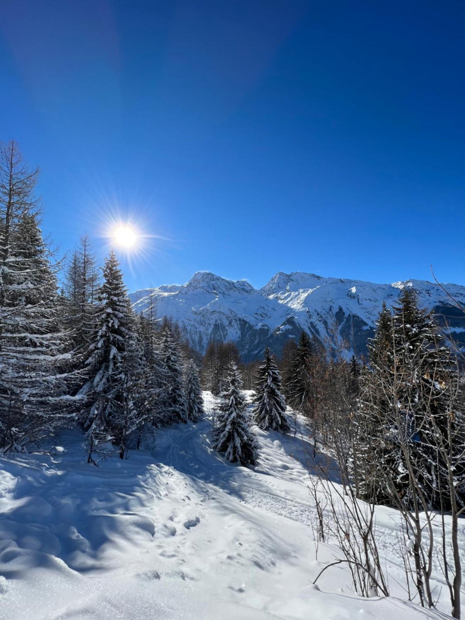 Chalet Altus Sainte-Foy-Tarentaise Εξωτερικό φωτογραφία