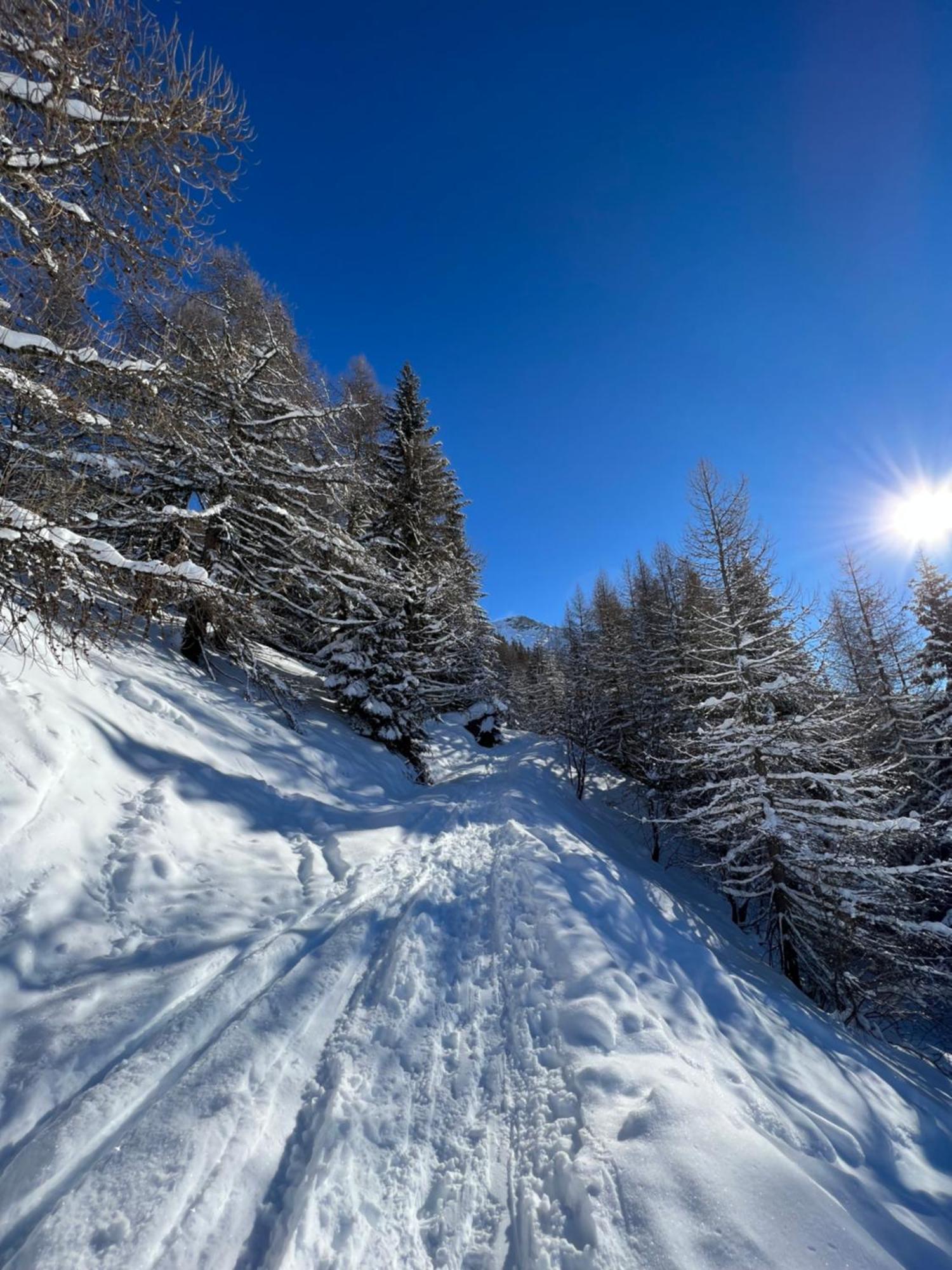 Chalet Altus Sainte-Foy-Tarentaise Εξωτερικό φωτογραφία