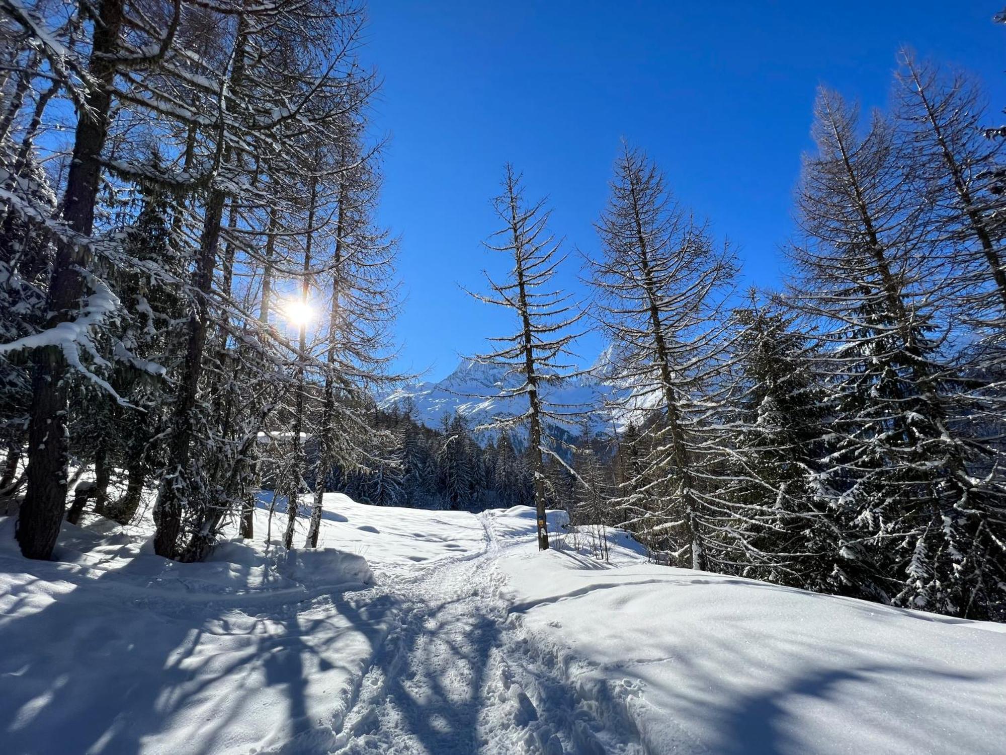 Chalet Altus Sainte-Foy-Tarentaise Εξωτερικό φωτογραφία